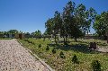 Райский сад в Славянск-на-кубани