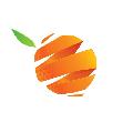 Citrus Fitness в Челябинске
