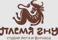 увеличить Студия йоги «Племя Гну» в Санкт-Петербурге