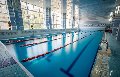 Школа Спортивного и Оздоровительного плавания "Дельфин" в Новосибирске