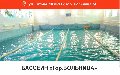 Школа Спортивного и Оздоровительного плавания "Дельфин" в Новосибирске