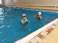 Школа Спортивного и Оздоровительного плавания "Дельфин" в Новосибирске