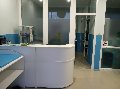 Клуб раннего плавания "Кря-Ква" в Коломне в Коломне