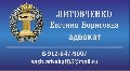 увеличить Адвокат Литовченко Евгения Борисовна в Орске