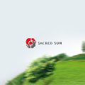 «Sacred Sun» - аккумуляторы от производителя в Москве