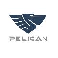 увеличить Pelican.van в Нижнем Новгороде