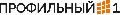 Профильный 1 в Санкт-Петербурге