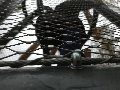 Steel Net - Производство сетки из стального нержавеющего троса в Конакове