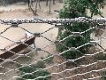 Steel Net - Производство сетки из стального нержавеющего троса в Конакове