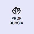 увеличить Профессионалы России в Москве