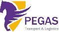 PEGAS LOGISTICS в Москве