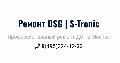 увеличить DSG-MSK в Москве