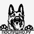 Школа дрессировки собак Послушно Ру в Казани