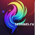 увеличить SeoSaaS.ru в Москве