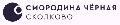Чёрная Смородина Сколково в Москве
