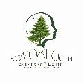 увеличить Сибирский центр практической психологии «ВозМОЖНОсти» в Красноярске