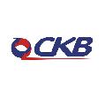 СКВ в Санкт-Петербурге