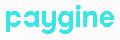 Paygine в Москве