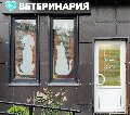 Эйс Вентура в Санкт-Петербурге