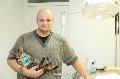 увеличить Зоохелп в Рузе