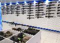 увеличить Airsoft-RUS— интернет магазин оружия и снаряжения для игры в страйкбол в Москве