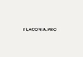 увеличить Flaconia Pro в Подольске