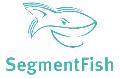 Сегмент Фиш в Нижнем Новгороде