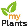 MyPlants в Санкт-Петербурге