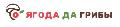 увеличить Ягоды да грибы в Новосибирске