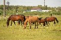 картинка к коментарию