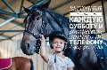 картинка к коментарию