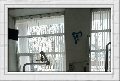 картинка к коментарию